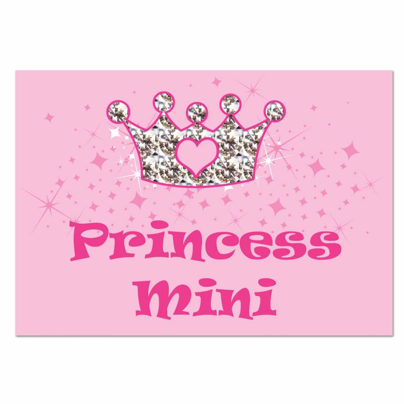 Personalised Pink Princess Pet Placemat